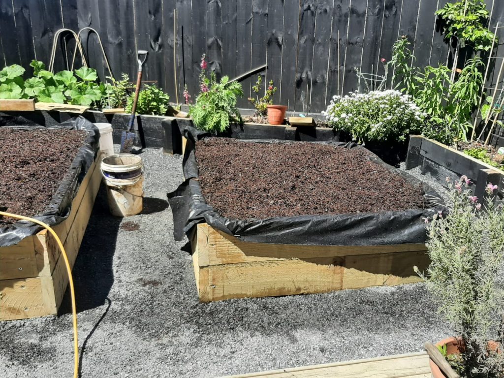 GardenBed2