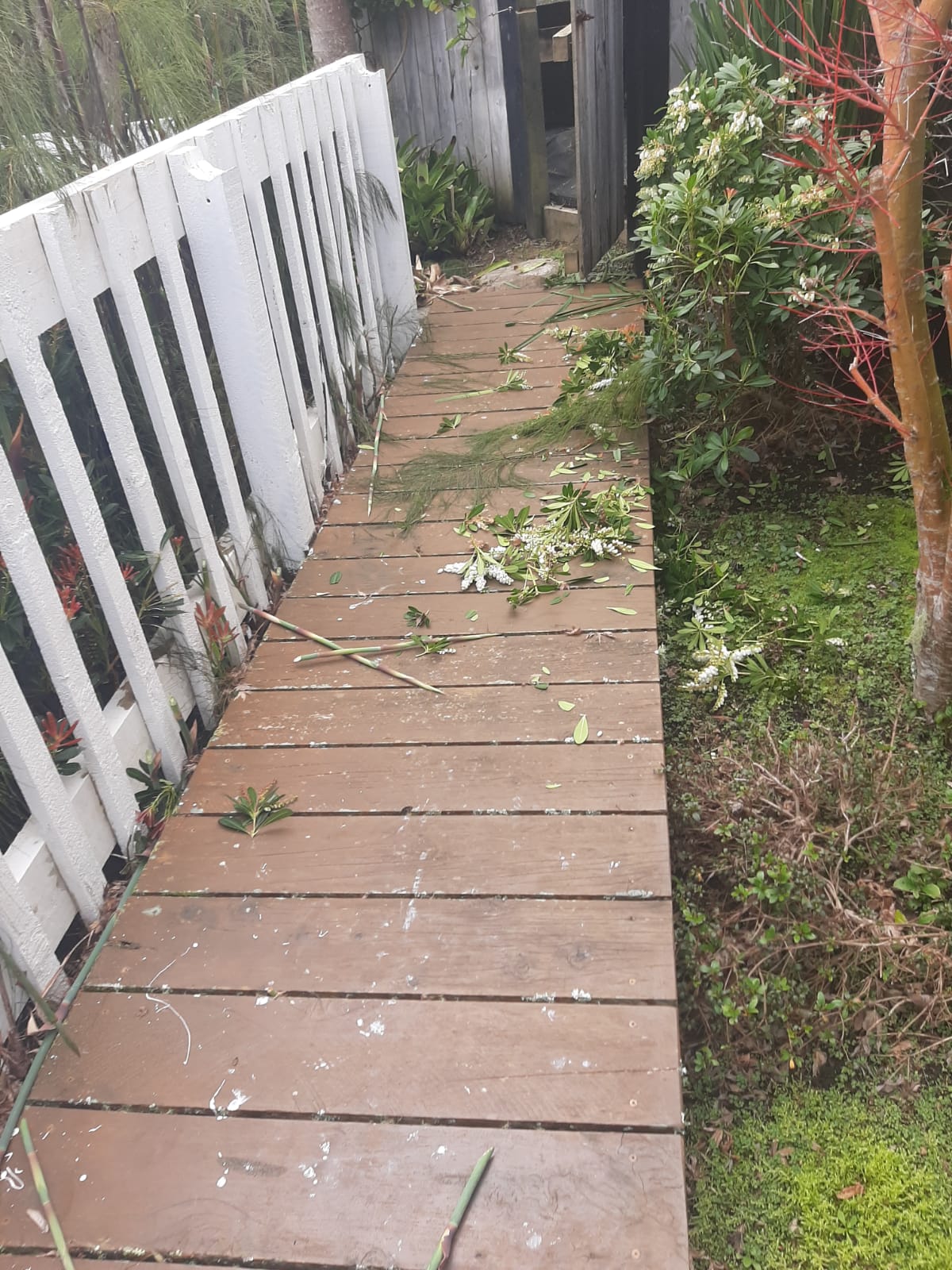Garden2014 4