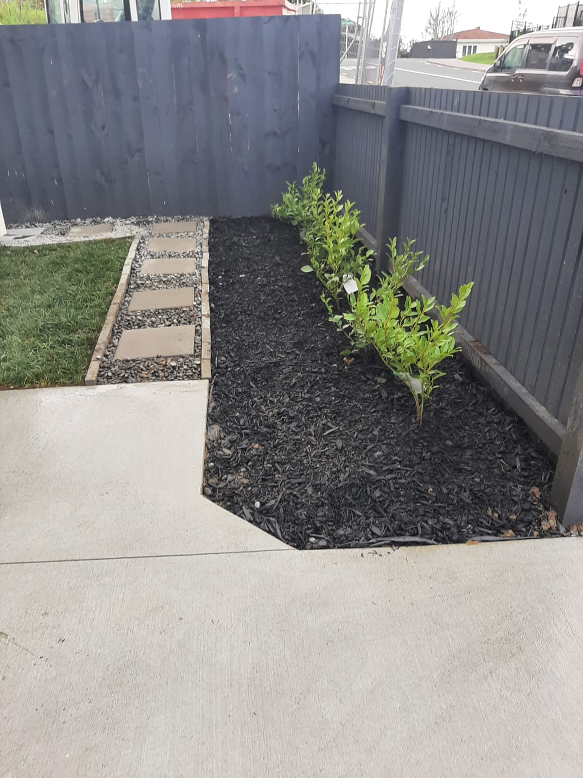 Garden2014 5