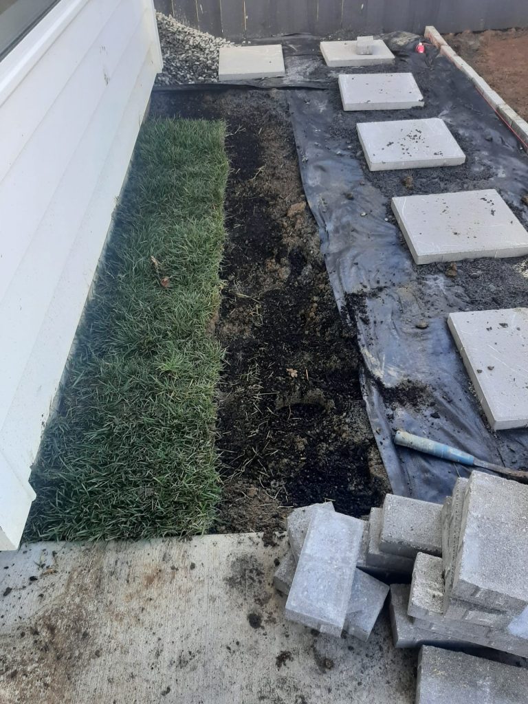 Gras2