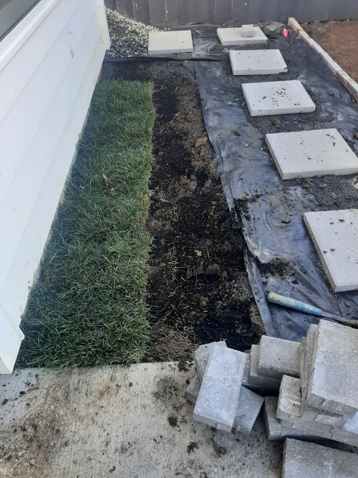 Gras2