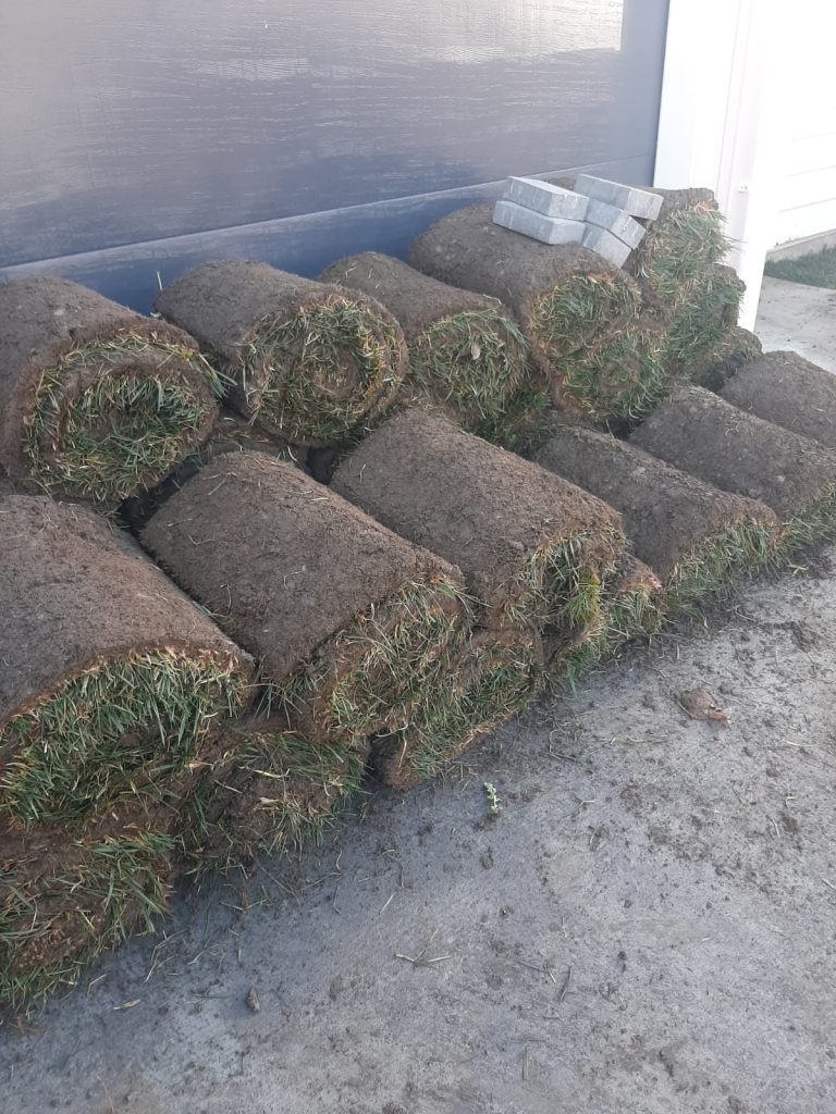 Grassroll
